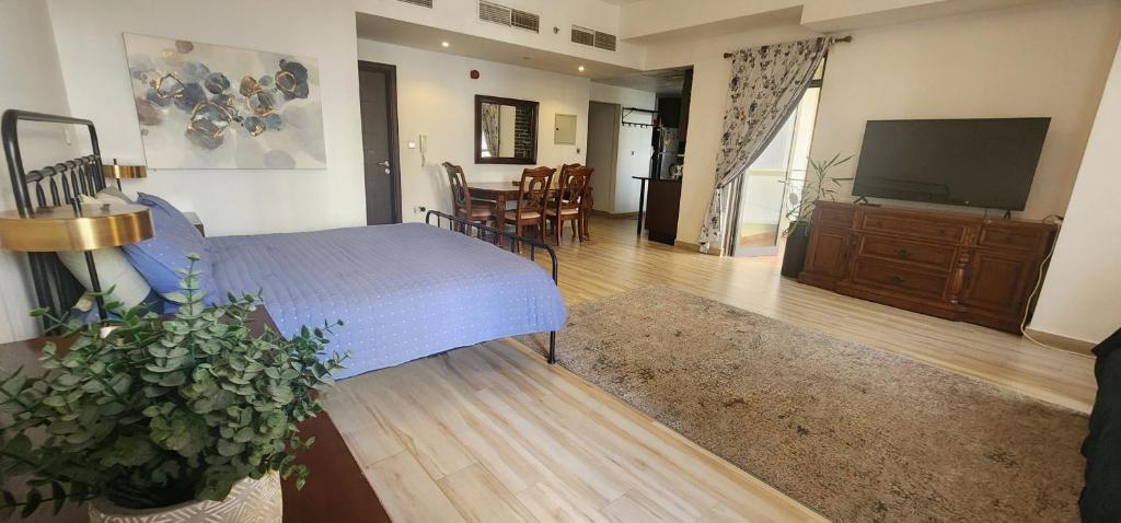 Huge studio with full kitchen, dining table, living area, and sofa bed — photo 3